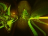 cosmic-spider