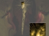 open-your-eyes-detail